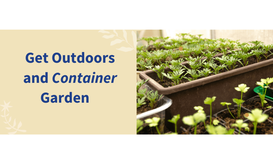 get outdoors and container garden