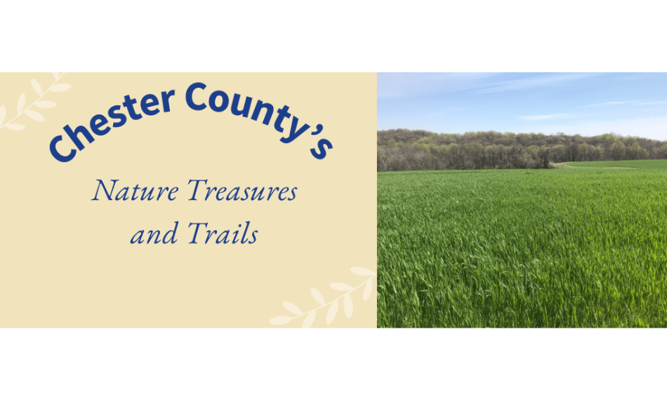 Unveiling Chester County's Nature Treasures and Trails blog thumbnail