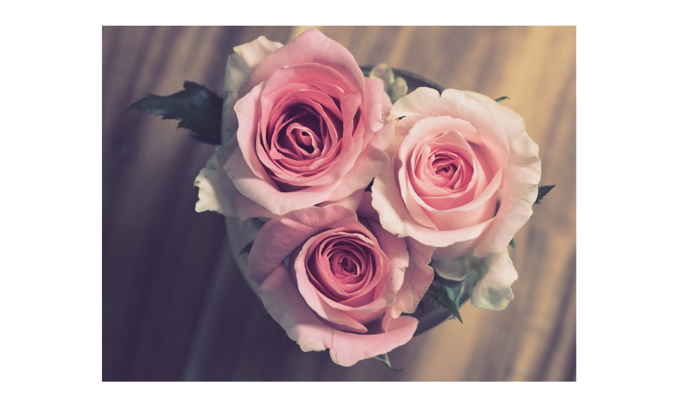 Three pink roses.